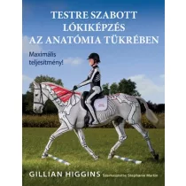 Testre szabott lókiképzés az anatómia tükrében