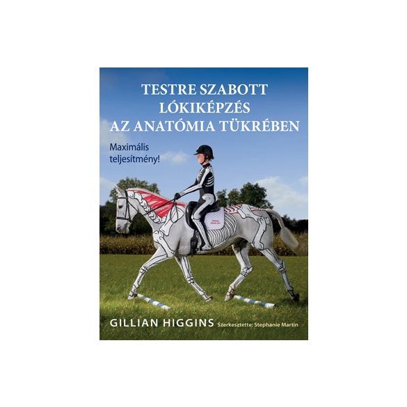 Testre szabott lókiképzés az anatómia tükrében