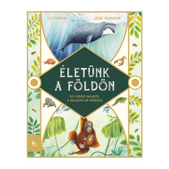 Életünk a Földön - Egy kérész napjától a halhatatlan medúzáig