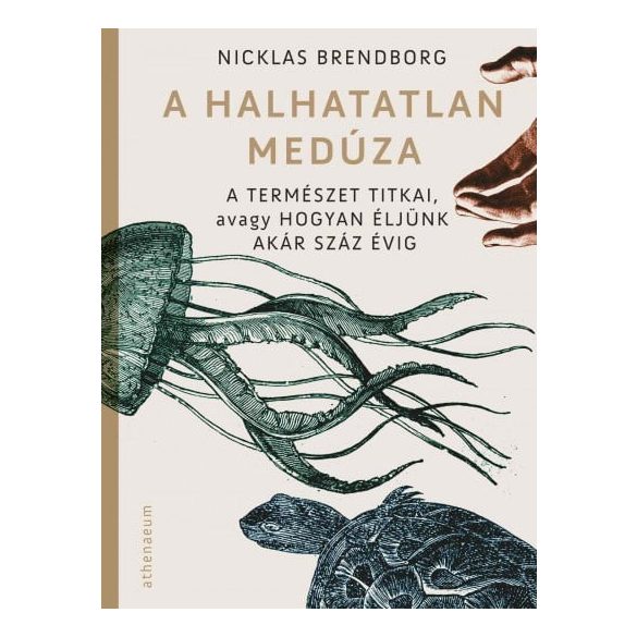 A halhatatlan medúza