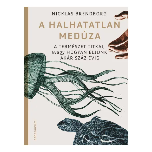 A halhatatlan medúza