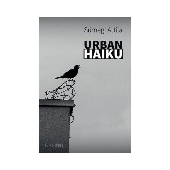 Urban haiku