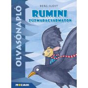 Olvasónapló - Rumini Zúzmaragyarmaton