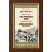 Székely kapuk meséje