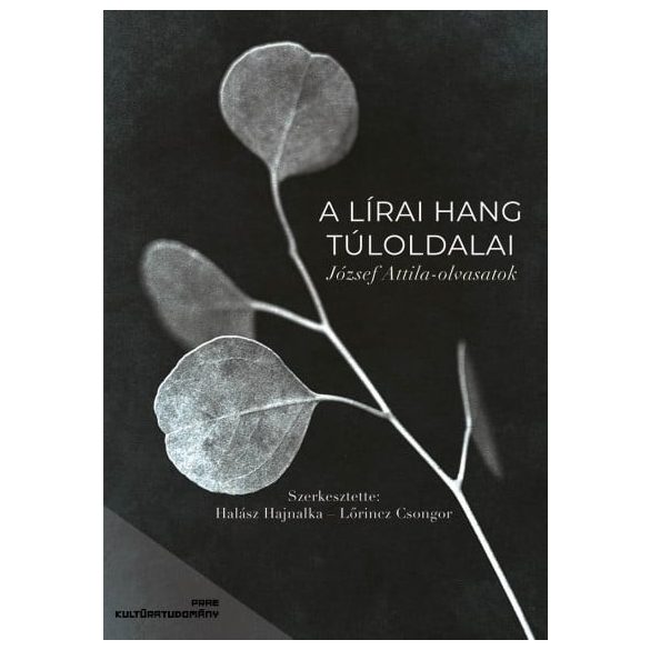 A lírai hang túloldalai