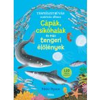 Cápák, csikóhalak és más tengeri élőlények