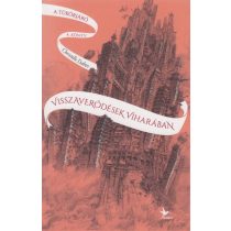 Visszaverődések viharában - A tükörjáró 4. könyv