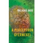 A perceptron gyermekei