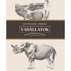 Vadállatok anatómiai rajzai