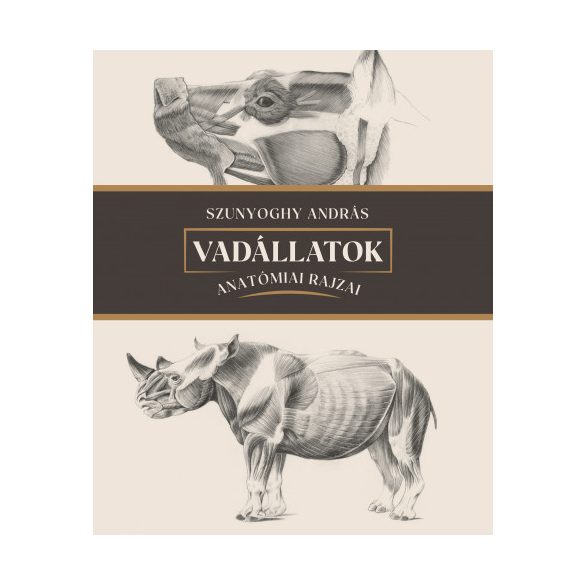 Vadállatok anatómiai rajzai