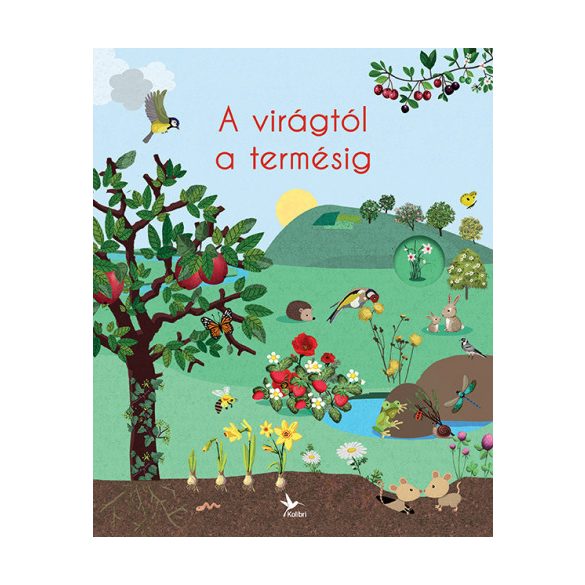 A virágtól a termésig