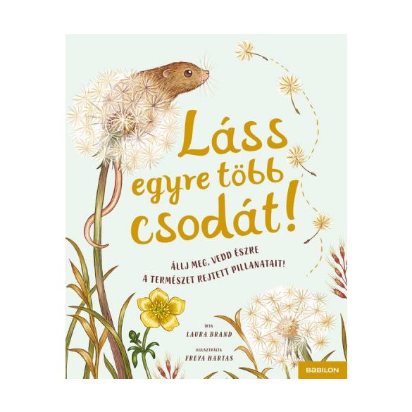 Láss egyre több csodát!