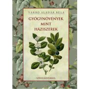 Gyógynövények mint háziszerek