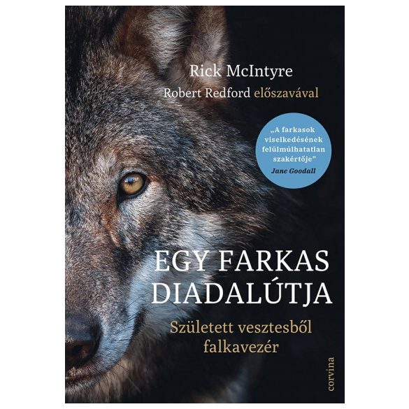 Egy farkas diadalútja