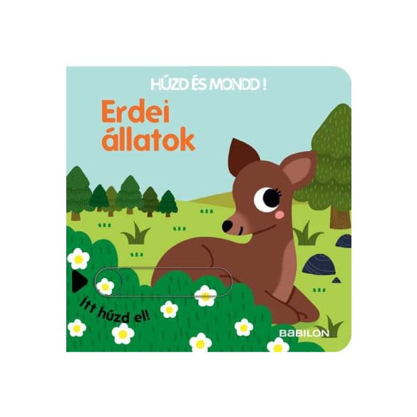 Húzd és mondd! 10. - Erdei állatok