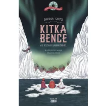 Kitka Bence az északi sarkkörnél