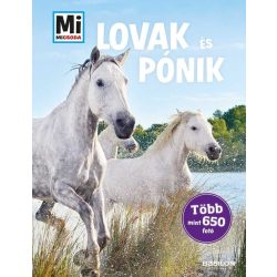 Mi MICSODA Lovak és pónik - album