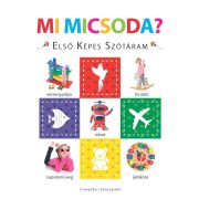 Mi micsoda? – Első képes szótáram