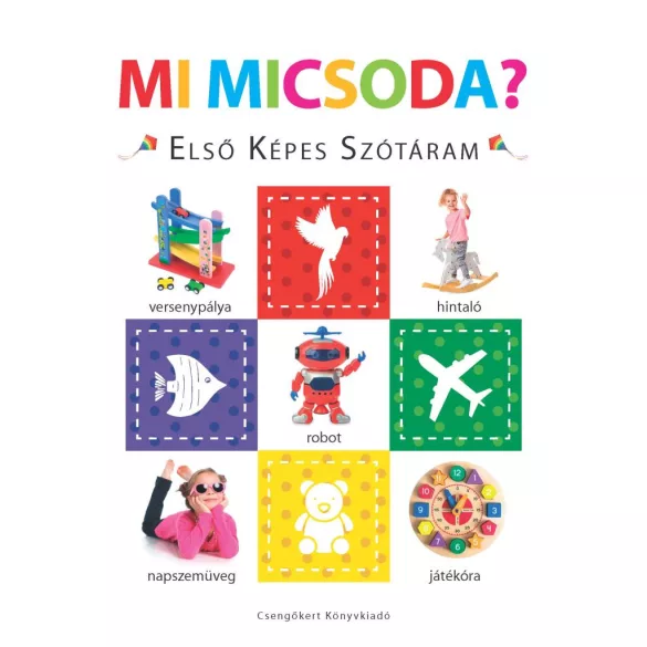 Mi micsoda? – Első képes szótáram