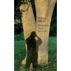 Szépírás mint hivatás