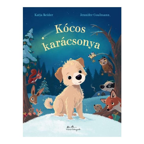 Kócos karácsonya