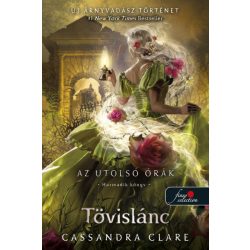 Tövislánc (Az utolsó órák 3.) - kemény táblás