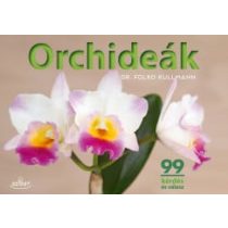 Orchideák