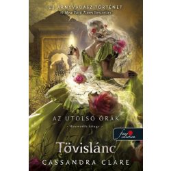 Tövislánc (Az utolsó órák 3.) - kartonált