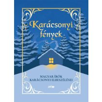 Karácsonyi fények