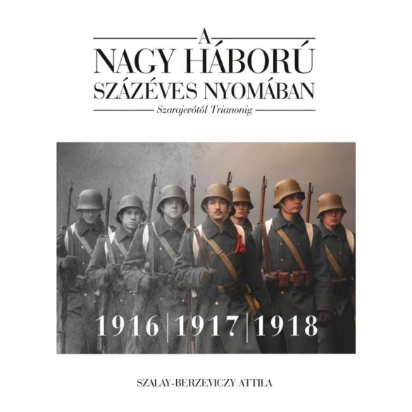 A nagy háború százéves nyomában: Szarajevótól Trianonig – 2. kötet: 1916–1917–1918