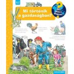 Mi történik a gazdaságban?