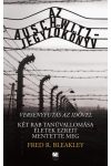 Az Auschwitz-jegyzőkönyv - versenyfutás az idővel