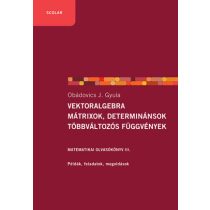   Vektoralgebra, mátrixok, determinánsok, többváltozós függvények