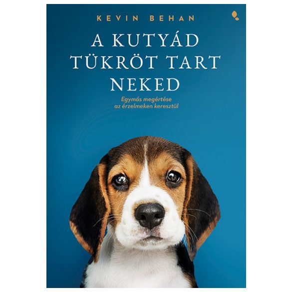 A kutyád tükröt tart neked