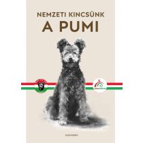 A pumi