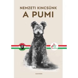 A pumi