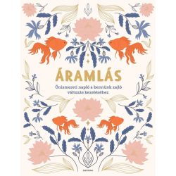 Áramlás