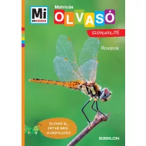 Rovarok - Mi Micsoda Olvasó - Matricás szövegfejtő