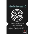 Tükörútvesztő