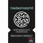 Tükörútvesztő