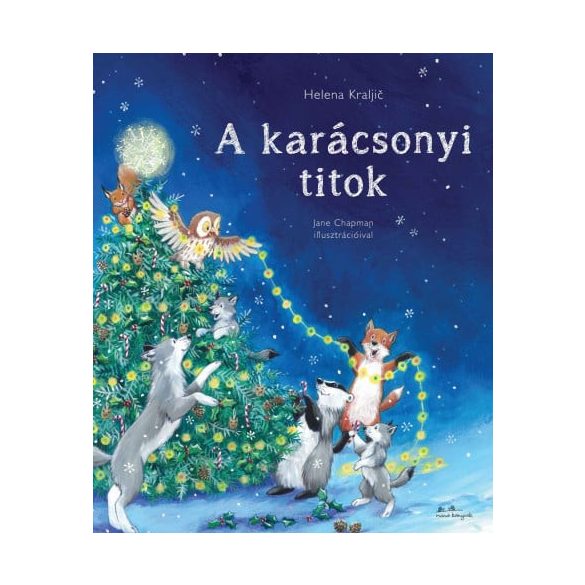 A karácsonyi titok