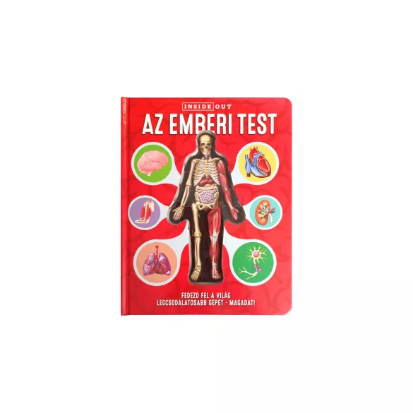 Az emberi test