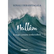 Hullám