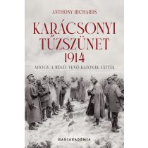 Karácsonyi tűzszünet, 1914