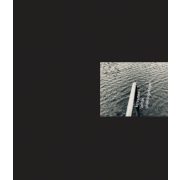 underdogimages