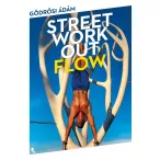 Street workout flow