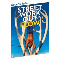 Street workout flow
