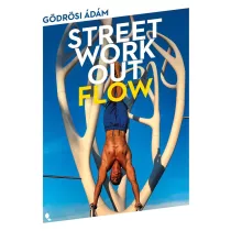 Street workout flow