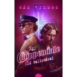 Egy Chippendale-fiú vallomásai