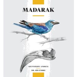 Madarak